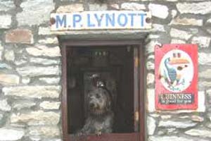 lynotts pub achill island