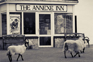 the annexe inn achill island