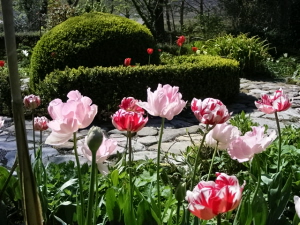 secret garden achill island