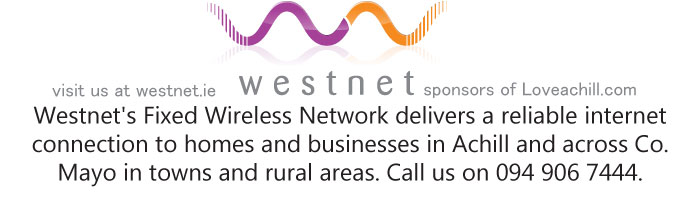 visit us at westnet.ie